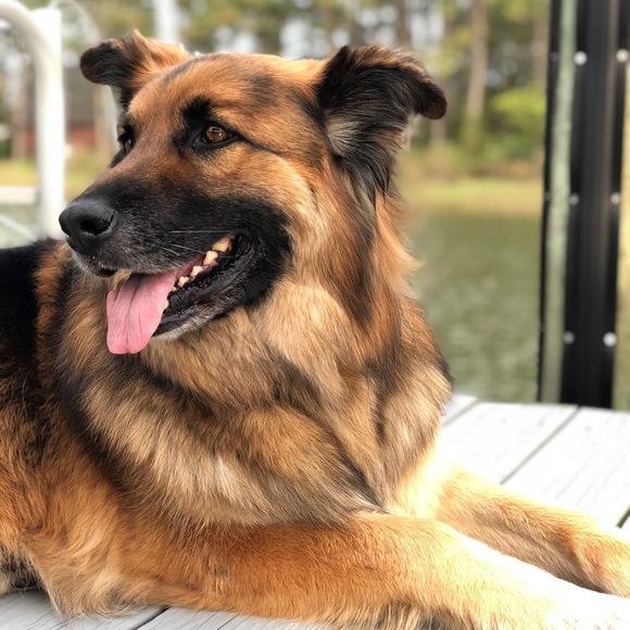 Meet your Posher, Jillian - Picture 1 of 1